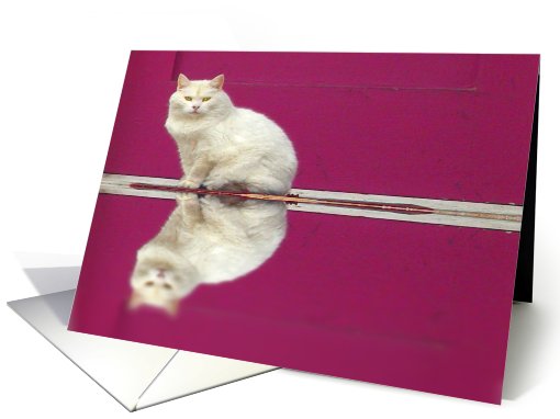 Mirror Cat card (410015)