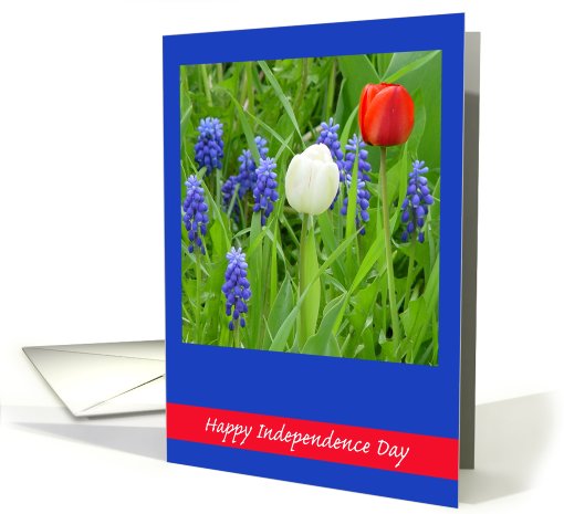 It's Independence Day card (431388)