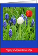It’s Independence Day Red White Tulips card