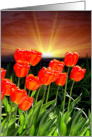 Morning Rise card