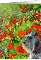 Gabriel’s Garden card