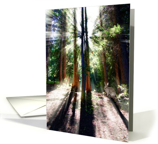 Heavenly Light card (468030)