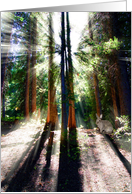 Heavenly Light card