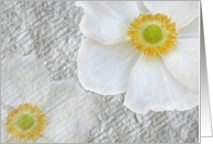 White on White card