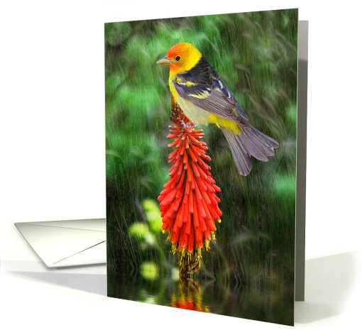 Tanager card (468042)