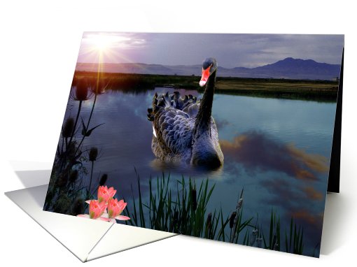 Peaceful Pond card (468047)