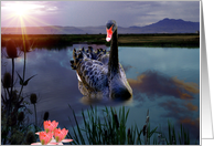 Peaceful Pond card