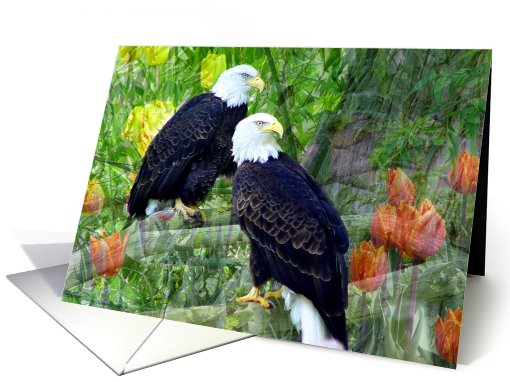 Eagles card (468060)