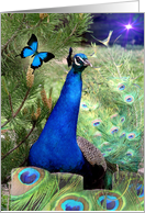 True Blue card