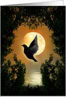 Spiritual Freedom card