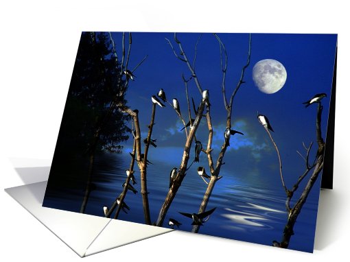 Tree Swallows card (468071)