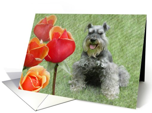 Gabriel With Roses card (469808)