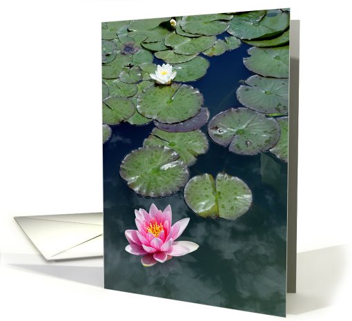 The Water Field card (470892)