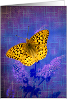 Blazing Bright Butterfly card