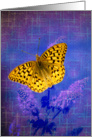 Blazing Bright Butterfly card