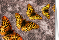 Magical Wings II (Horizontal) card
