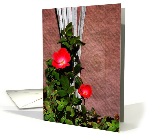 Watercolor Trellis card (479157)