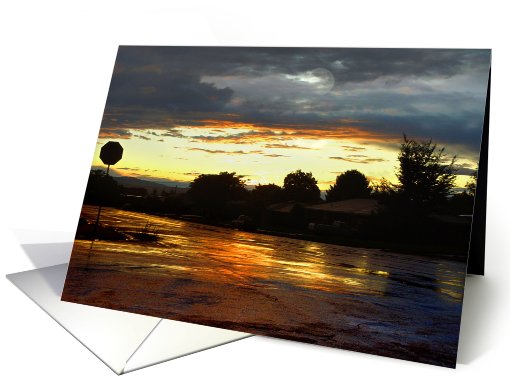 After The Rain Storm card (482432)