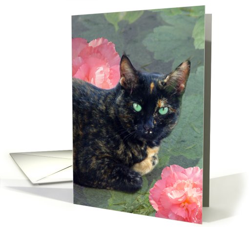 Mysterious Sadie card (485202)