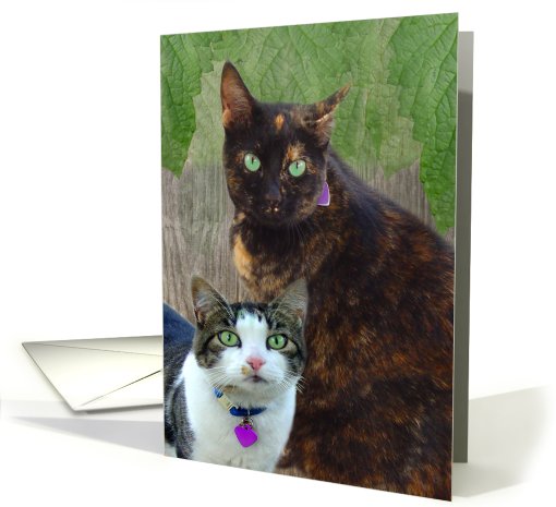 Pretty Pair card (485203)
