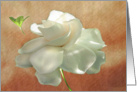 Textured Gardenia card