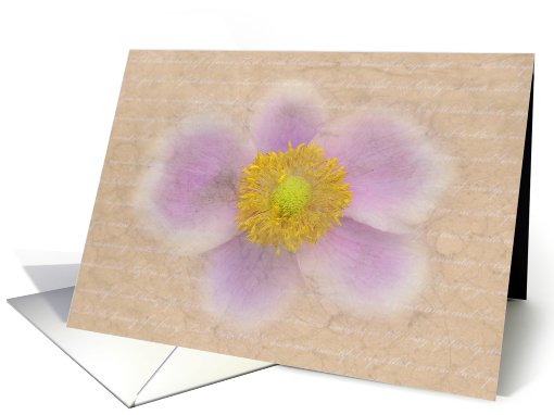 Sweet Nothings card (488054)
