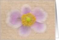 Sweet Nothings card