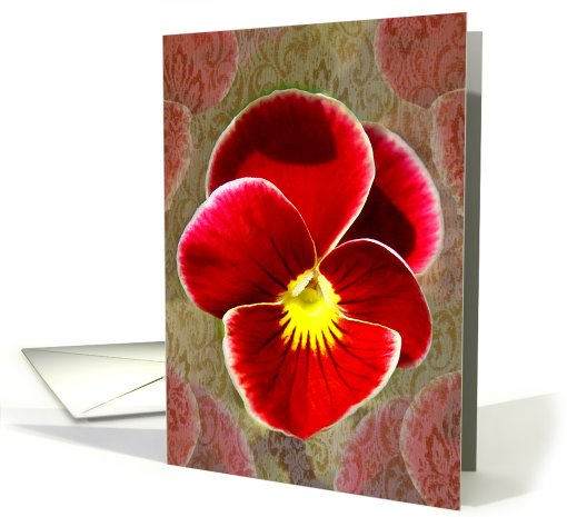 Pansy Patterns card (488056)