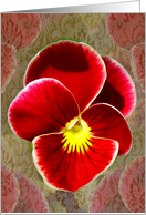 Pansy Patterns card