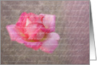 Romantic Rose card