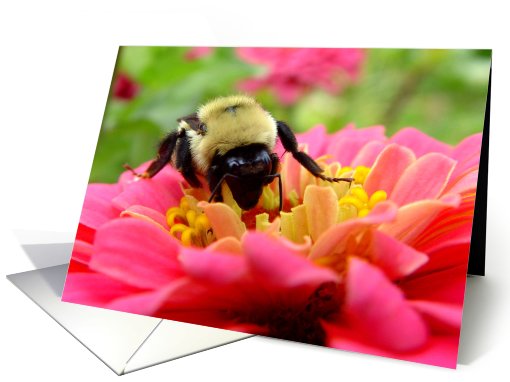 Super Bee card (490591)