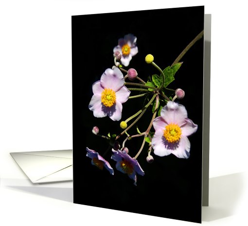 Anemone Bunch card (491008)
