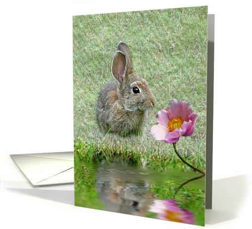 Yard Bunny card (492299)