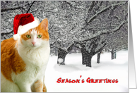 Cat In Christmas Snow card