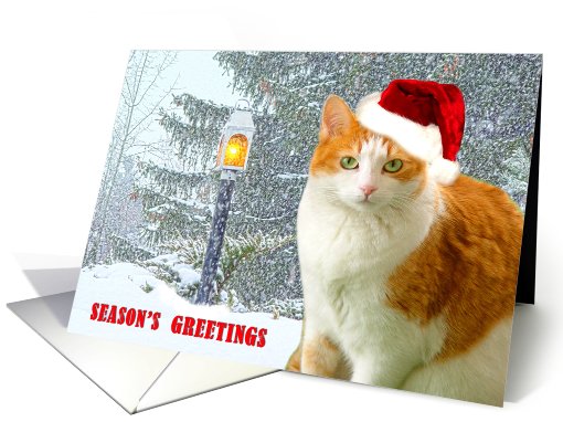Cat And Lamp In Snow card (492801)