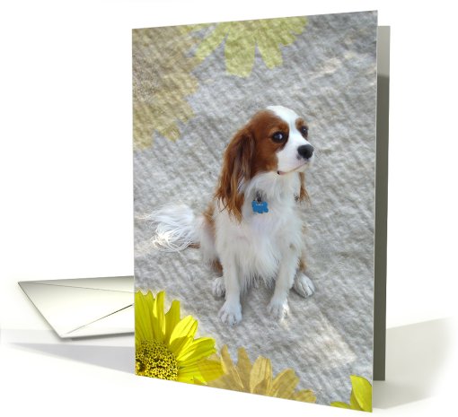 Adorable Madigan card (492834)