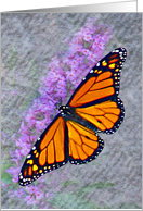 Magical Monarch II (Vertical) card