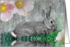 Selective Coloring Bunny card