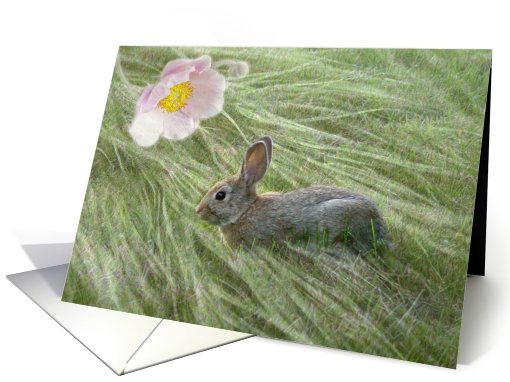 Bunny Soft card (495587)