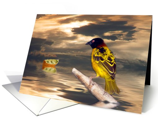Friends In A Storm card (496102)