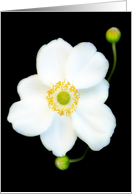 Perfect Japanese Anemone card