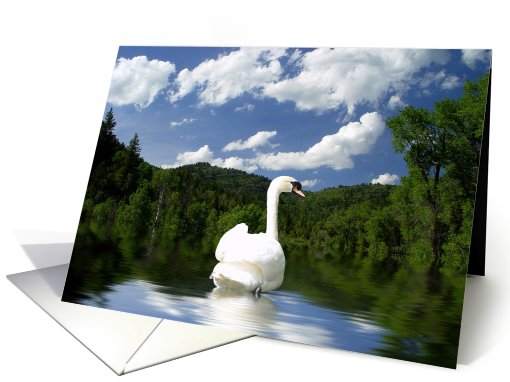 Looking Back card (501542)