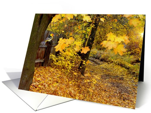 Golden Carpet card (501545)