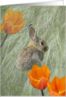 Pretty Orange Patches card