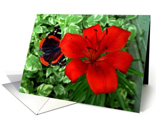 Admirable card (502705)