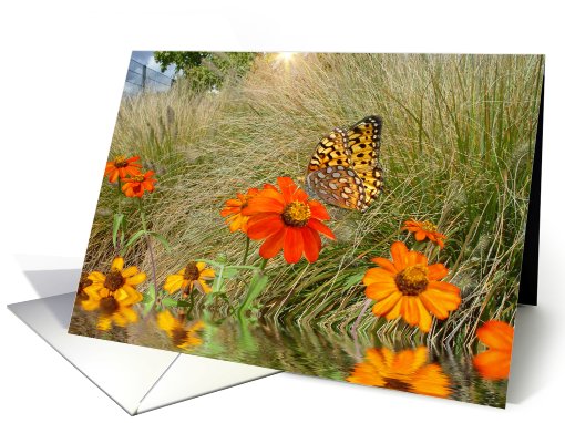 Beauty In A Ditch card (502706)