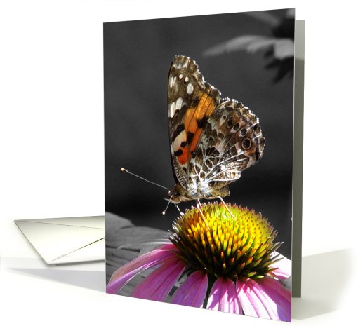 Painted Lady card (502710)