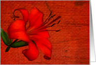 Deep Deep Red card