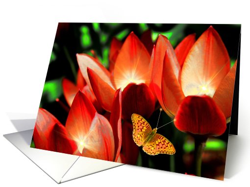 Garden Glow card (503031)