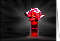 Redshift Rose card